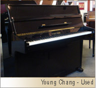Young Chang 43"-Image