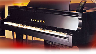 Player Pianos - Disklavier
